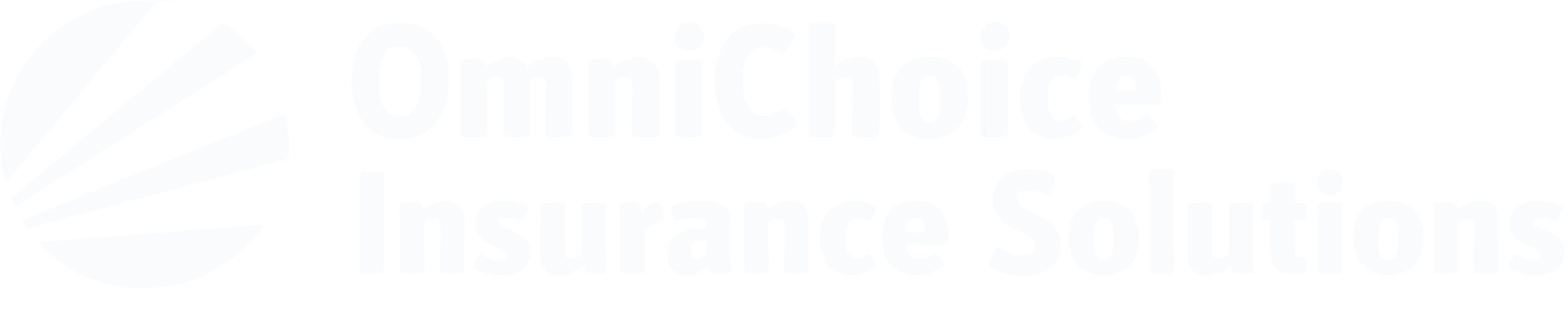 OmniChoice Insurance Solutions